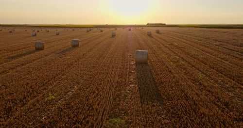 Serbien, Vojvodina. Luftaufnahme von Weizenballen auf einem Feld