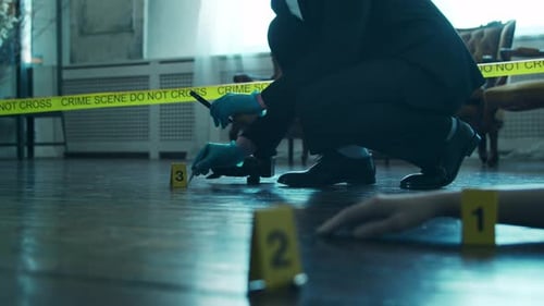 Detective Investigates Crime Scene Evidence
