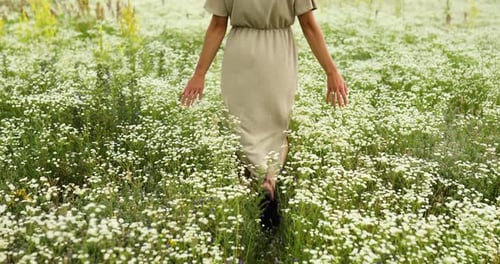 Woman in Dress Walking in Flower Blooming Meadow in Countryside