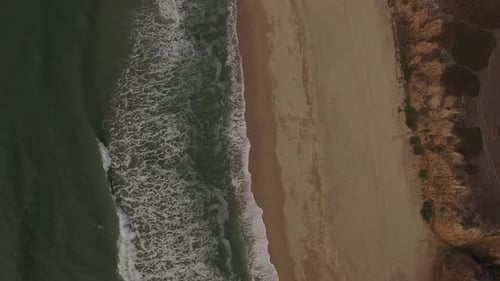Beach from Above