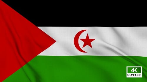 Flag of Sahrawi Arab Democratic Republic Waving Animation