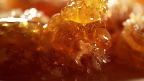 O mel fresco dourado está pingando para o favo de mel