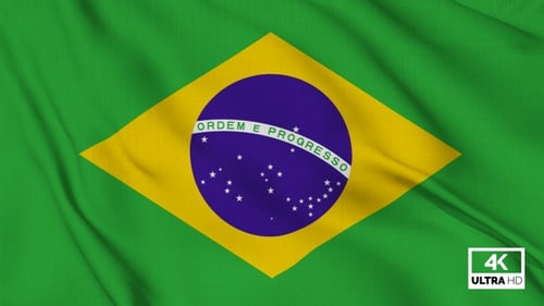 Waving Brazilian National Flag Seamless Animation