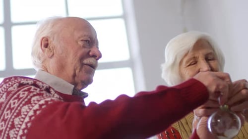 Senior Couple Decorating Christmas Tree in Home