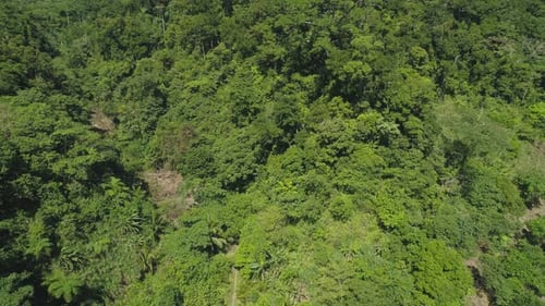 View Mountain Landscape Rainforest