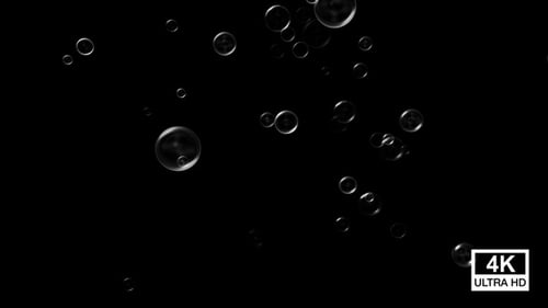 Rising Transparent Bubbles Animation Overlay