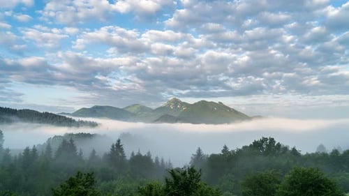 Foggy Morning in Green Mountains Landscape