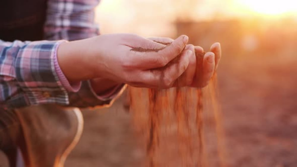 A Farmer Looks at the Soil in His Hands at Sunset. Side View, Nature ...