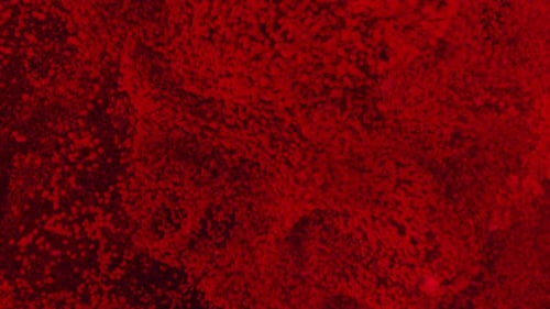 Abstract Red Particle Cloud Spreading Reveal Background