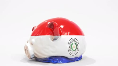 Paraguay Flag Piggy Bank Deflation Symbolizing Economic Decline