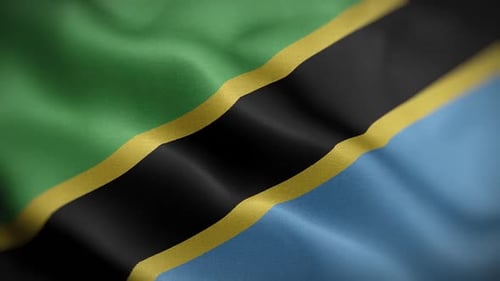 Realistic Waving Flag of Tanzania Seamless Loop