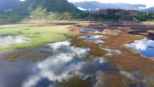 White clouds in blue sky reflected in the waters of a marsh wetland and yellow grass in autumn