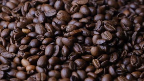 Coffee Beans Rotate Slowly
