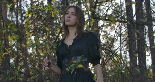 Graceful Brunette Caucasian Girl with Brown Eyes Standing in the Forest in the Evening and Looking
