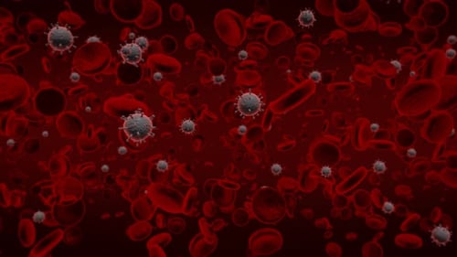Microscopic Red Blood Cells and Viruses Flowing Background