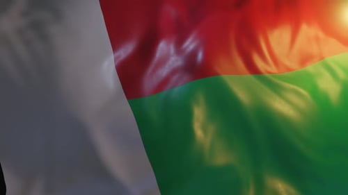 Realistic Waving National Flag Animation with Sunlight