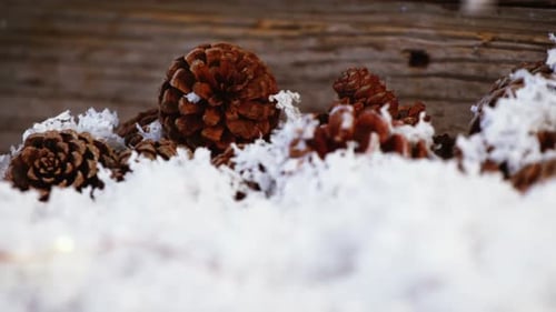 Pinecones in Snow for Christmas Background
