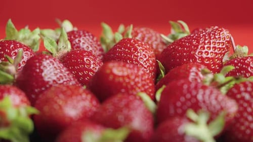 Juicy Ripe Strawberries Covered with Water Droplets Rotate Close Up