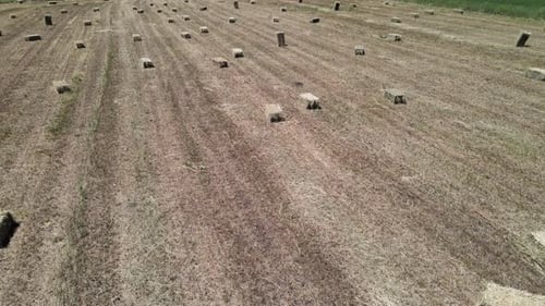 Feld für Strohballen