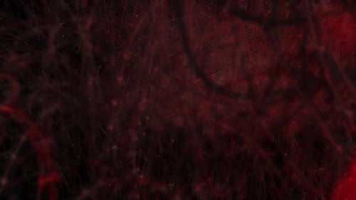 Halloween Background Loop