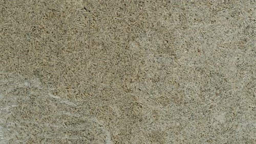 Textured Gray Surface in Extreme Close-Up