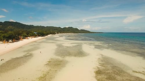 Tropical Beach and Turquoise Sea Philippines,Bohol