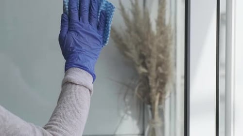 Cleaning the Window