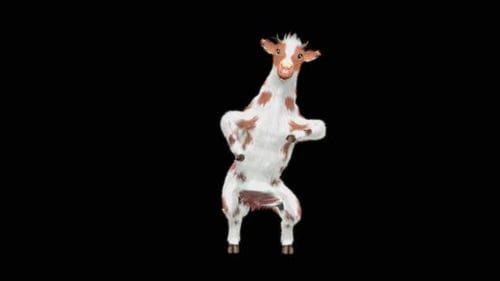 Funny Cartoon Cow Dancing Animation Loop