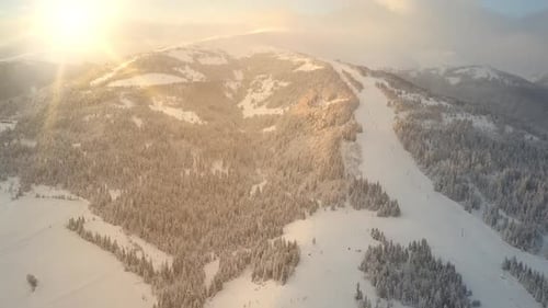Beautiful Trees and Mountains of the Carpathians Are White in Color Covered with Soft Snow From a