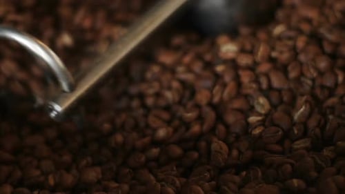 Roasted Coffee Beans Stirred in Roasting Machine