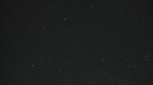 Looped Video, Heavy Snowfall Against Black Night Sky, Fresh White Snow Falling.
