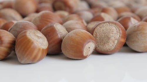 Corylus avellana nuts close-up 4K 2160p 30fps UltraHD tilting footage - Whole hazelnuts on white bac