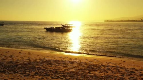 Aerial flying over scenery of exotic seashore beach wildlife by blue sea and white sandy background