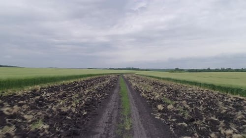 Protective Plowing of the Field
