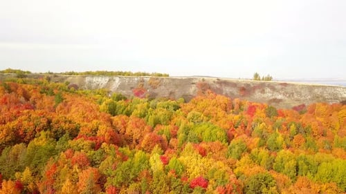 Herbst Natur Seestadt
