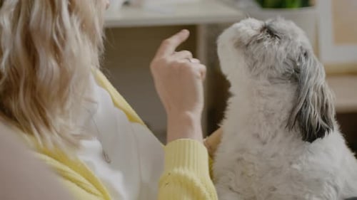 Woman pets fluffy dog affectionately indoors