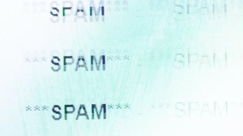 Digital Display of the Word Spam