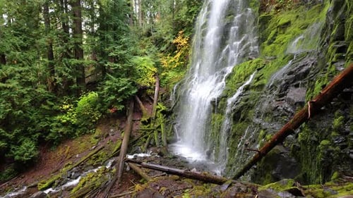 Proxy Falls in Oregon, USA