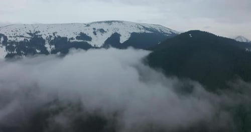 Mountains with the Green Pine Trees and Some White Trees Below.