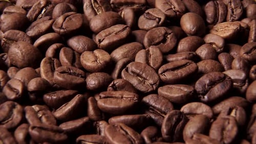 Close Up View of Roasted Coffee Beans