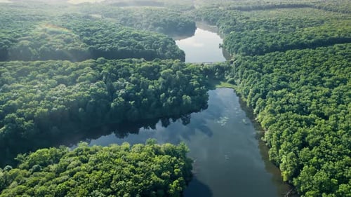 Clear Turquoise Water of Pond Surrounded By Trees and Plants