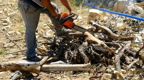 Adult Cutting Roots With Chainsaw In Rocky Terrain