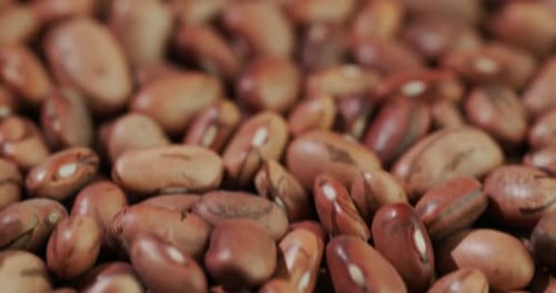 Close Up Shot of Colorful Kidney Beans