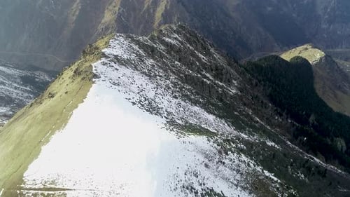 Snowy Hill and Trees Mountains