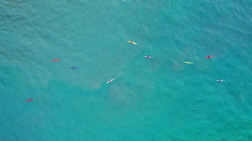 Eine Gruppe von Extremsportlern in bunten Kajaks befindet sich im ruhigen blauen offenen Meer