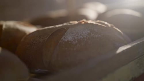 Close View of Tray with Freshly Baked Rye Round Breads with Bran