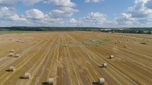 Heuhaufenrollen auf dem Feld