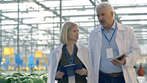 Cheerful Agronomists Walking in Greenhouse