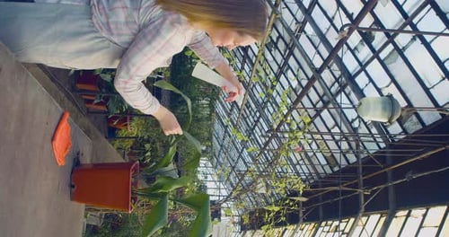 Vertical Video of a Young Woman Watering Flowers in a Greenhouse Eco Hobby Concept