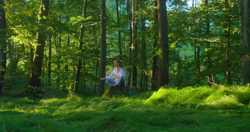 Woodland